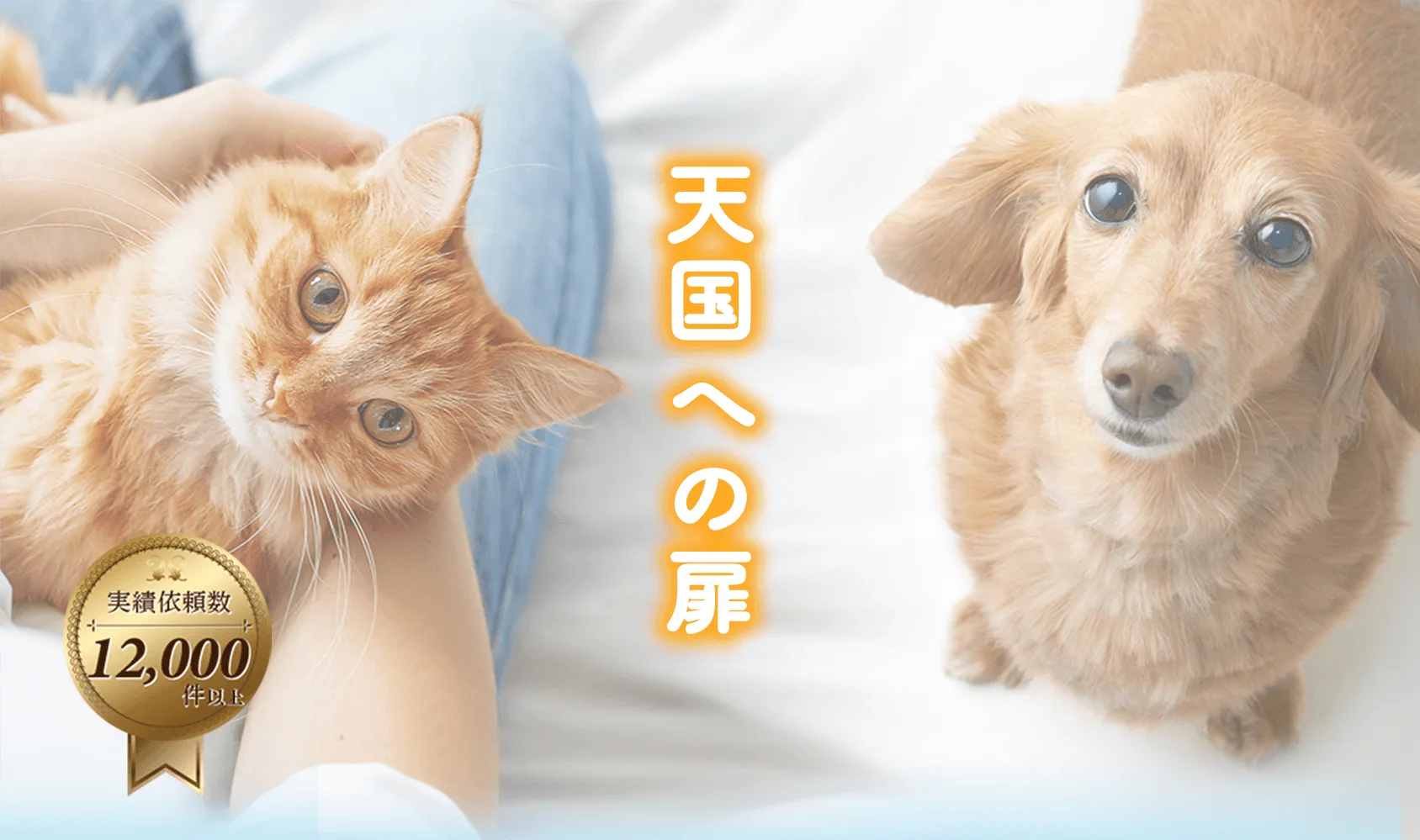 天国への扉 ペット火葬 想いをカタチに。盛岡・岩手でご自宅までお伺いする完全個別の訪問火葬。実績依頼数12,000件以上。