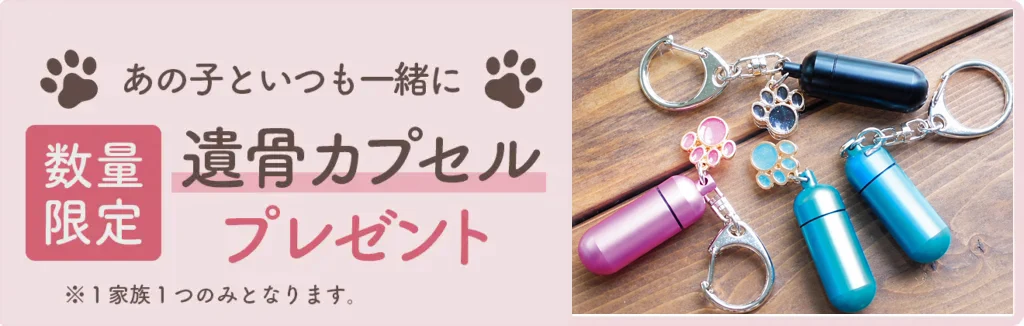いつも一緒に数量限定・足あと型チャーム付き遺骨カプセルプレゼント